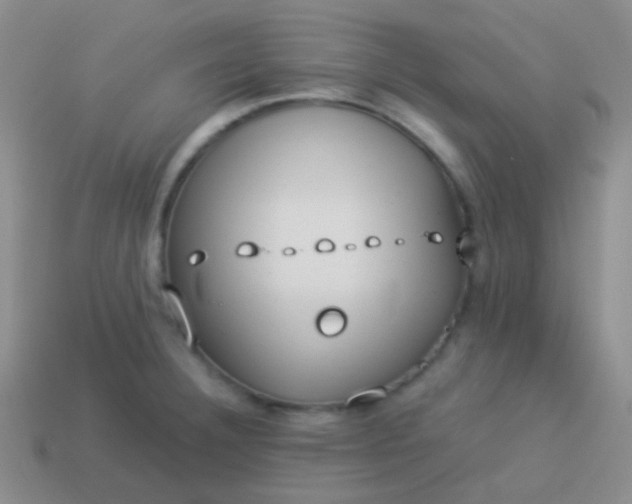 X0000114011332200910161724