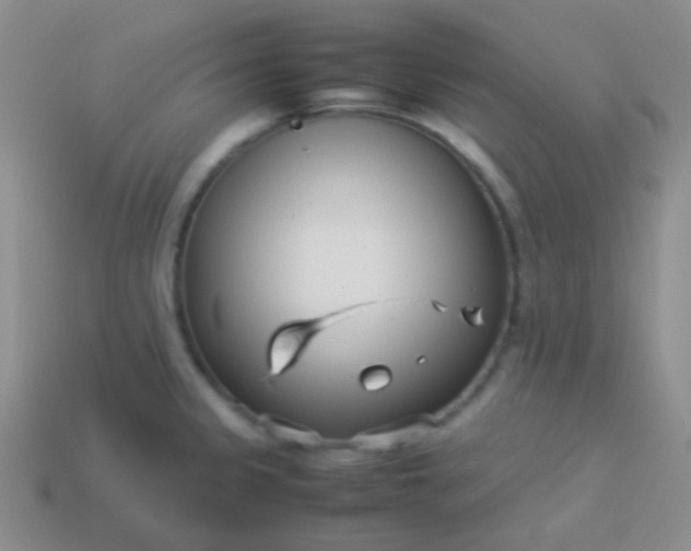 X0000114011333200910161724