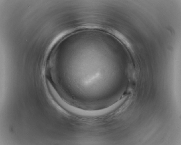 X0000114011334200910161724