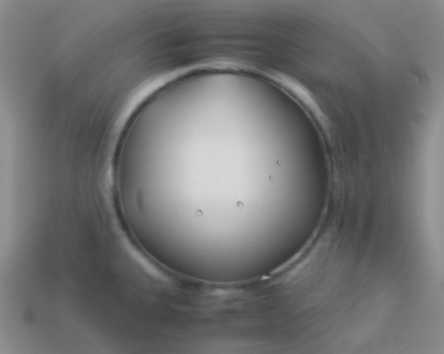 X0000114011335200910161724