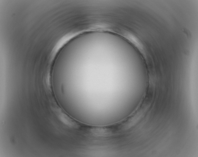 X0000114011336200910161724