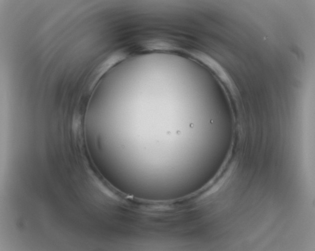 X0000114011337200910161724