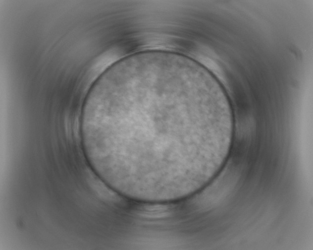 X0000114011338200910161724