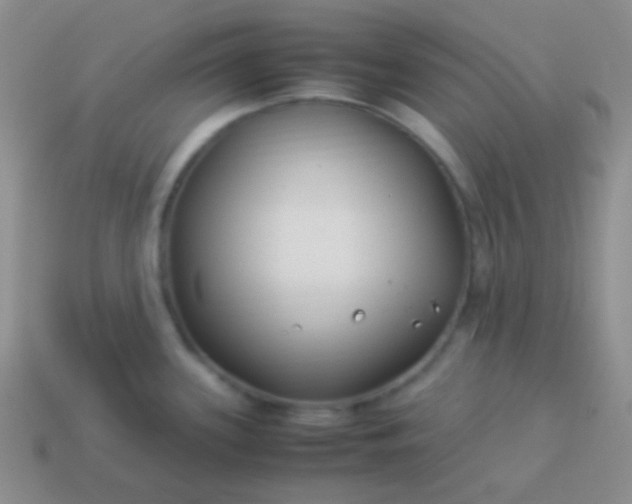 X0000114011339200910161724