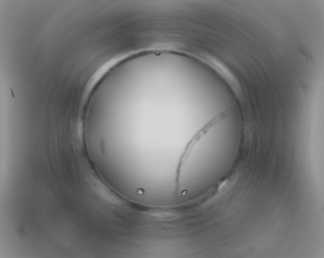 X0000114011340200910161724