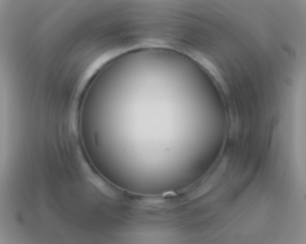 X0000114011342200910161724