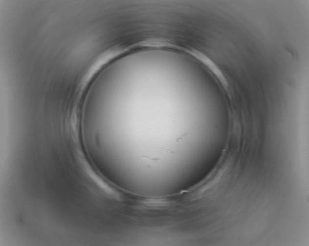 X0000114011343200910161724