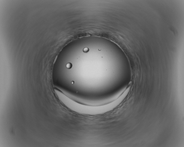 X0000114011345200910161723