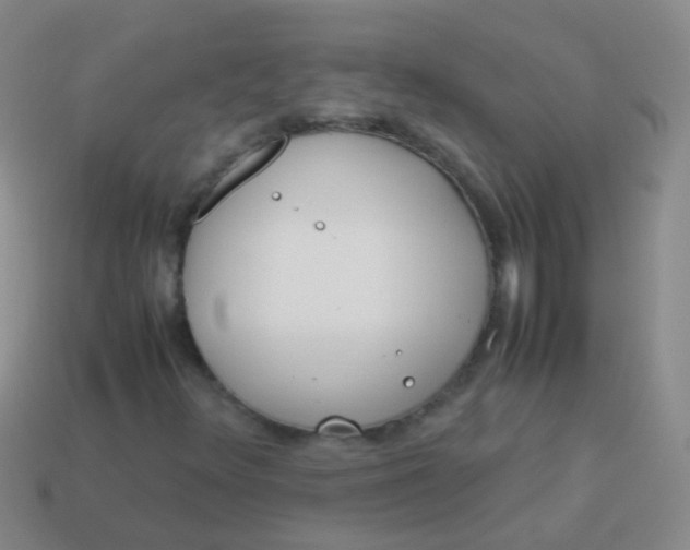 X0000114011348200910161723