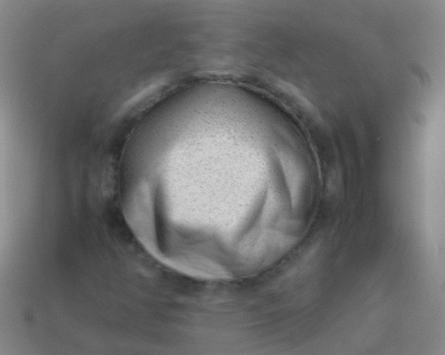 X0000114011350200910161723