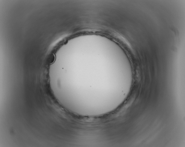 X0000114011352200910161723