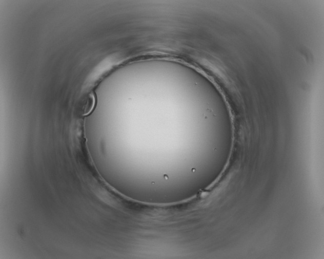 X0000114011355200910161723