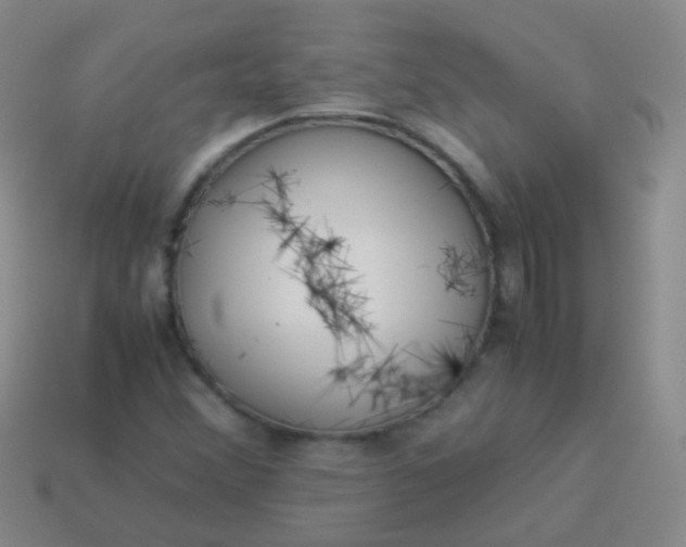 X0000114011356200910161723