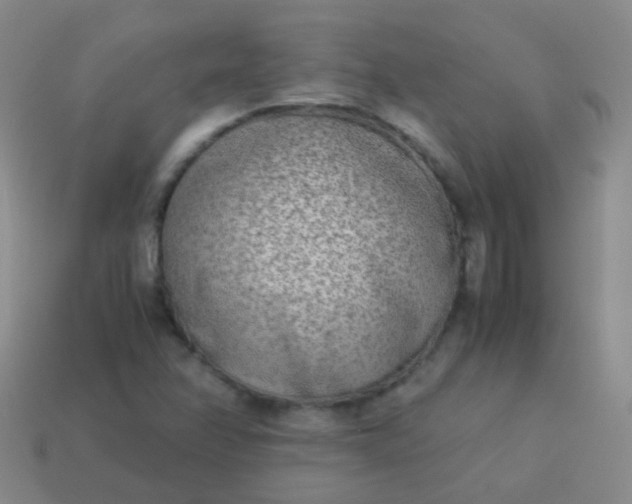 X0000114011358200910161723