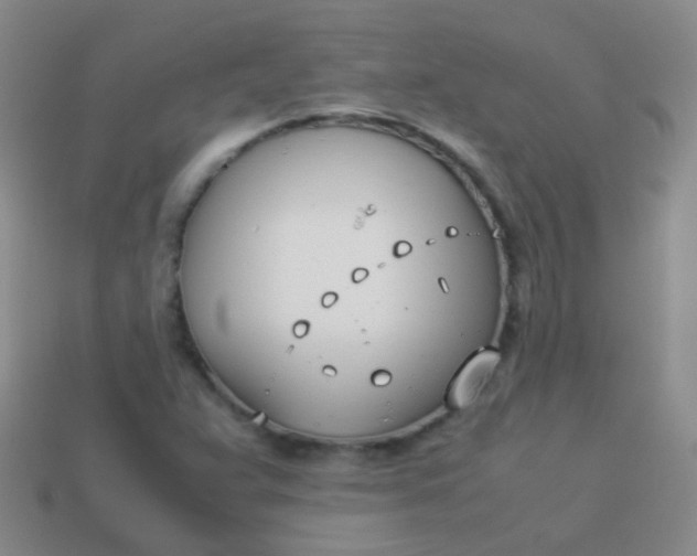 X0000114011359200910161723