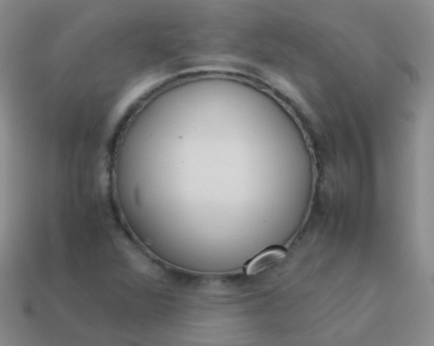 X0000114011360200910161723