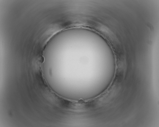 X0000114011361200910161723