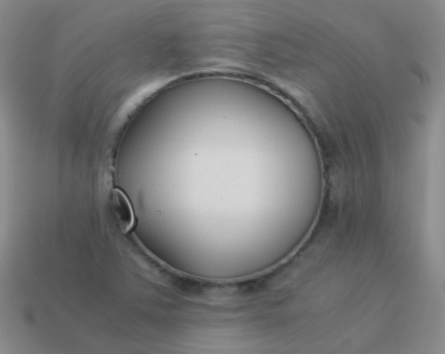 X0000114011363200910161723