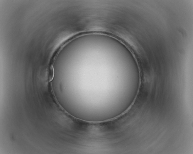 X0000114011364200910161723