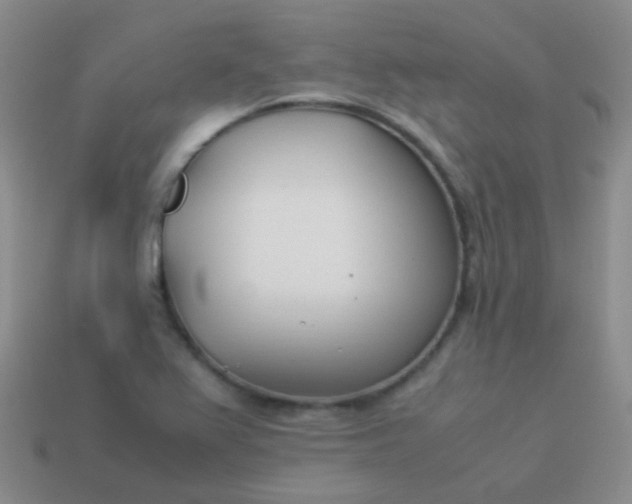 X0000114011367200910161723