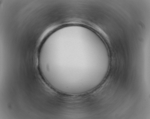 X0000114011368200910161723