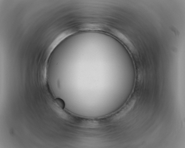 X0000114011370200910161723