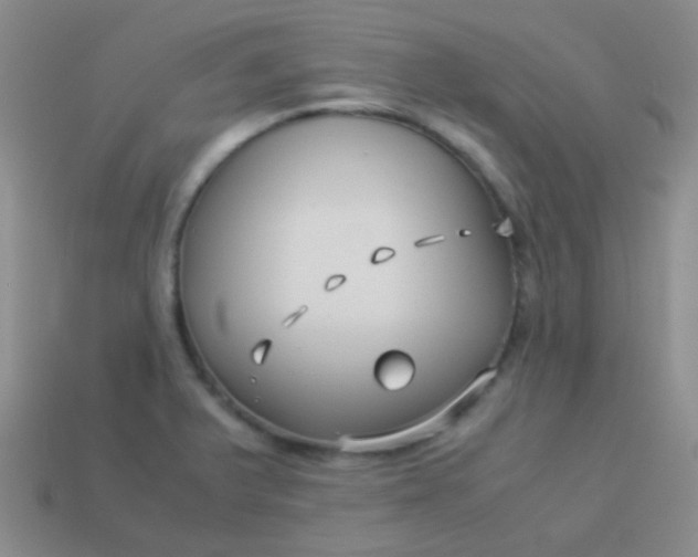 X0000114011375200910161723