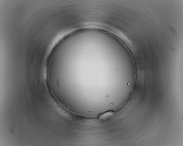 X0000114011376200910161723