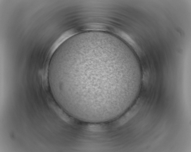 X0000114011378200910161723