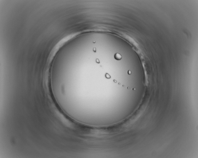 X0000114011379200910161723