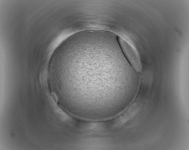 X0000114011381200910161723