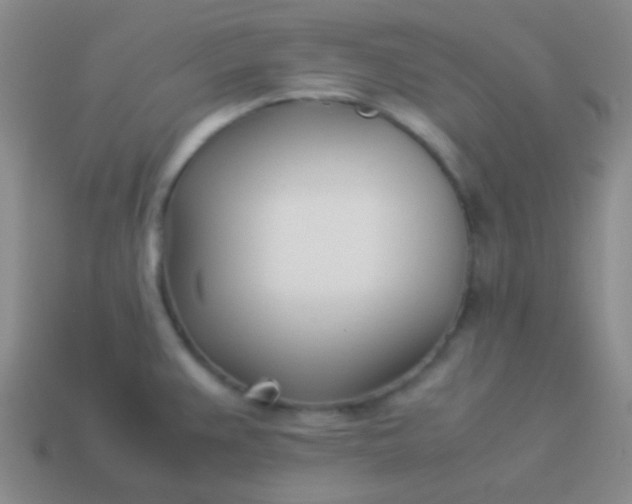 X0000114011383200910161722