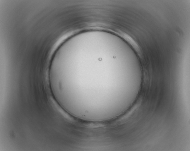 X0000114011384200910161722