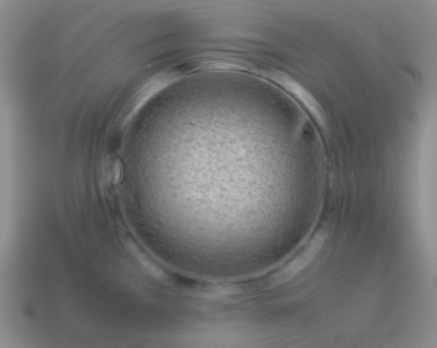 X0000114011385200910161722