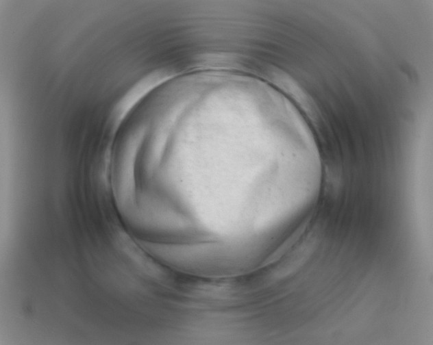 X0000114011386200910161722