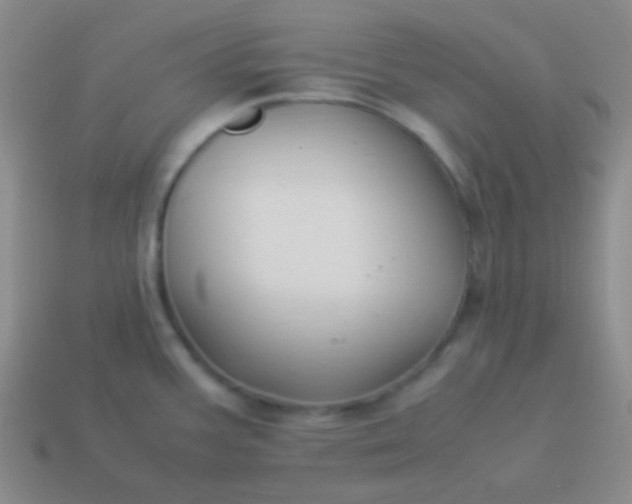 X0000114011387200910161722