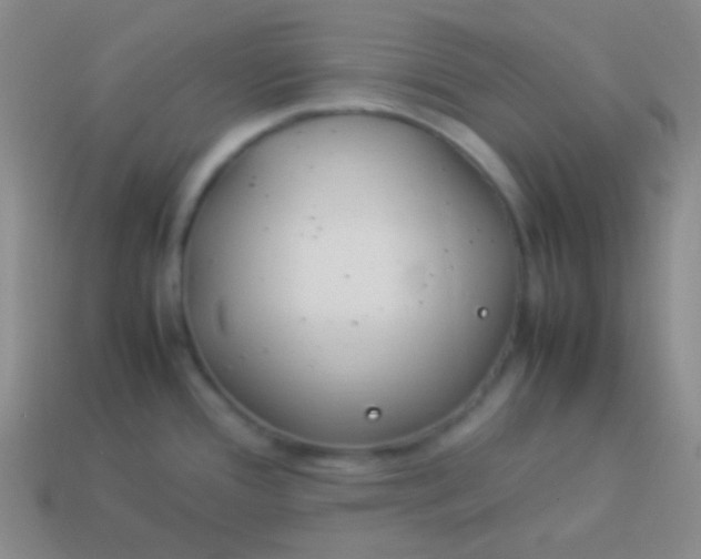 X0000114011388200910161722