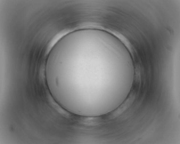 X0000114011390200910161722