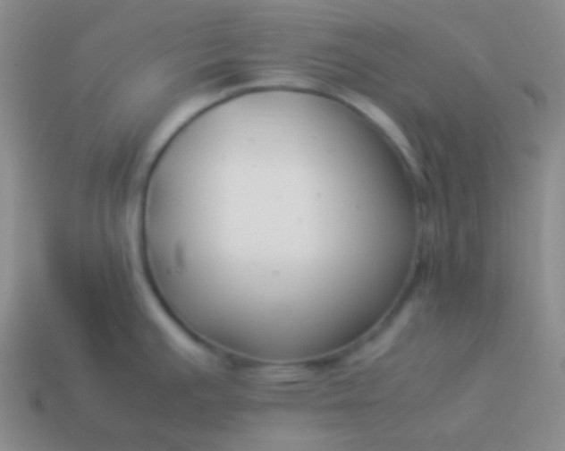 X0000114011391200910161722