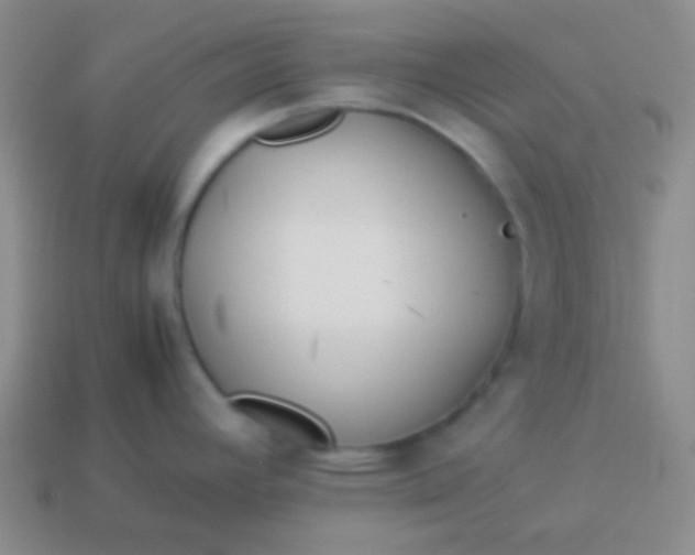 X0000114011392200910161722