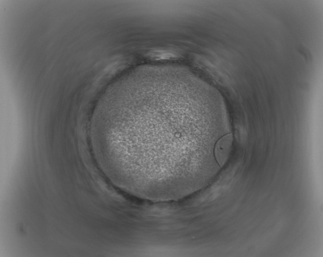 X0000114011393200910161721