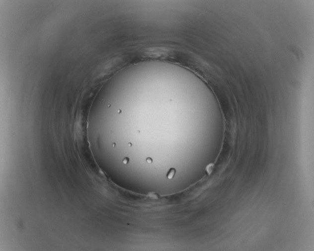 X0000114011394200910161721