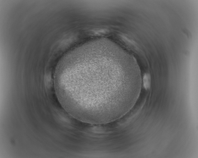 X0000114011395200910161722