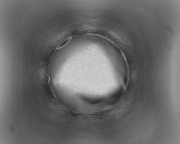 X0000114011397200910161722