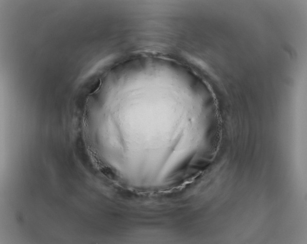 X0000114011399200910161722