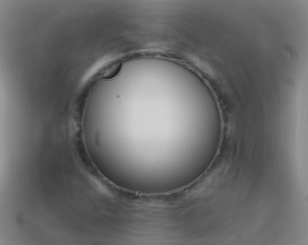 X0000114011400200910161722