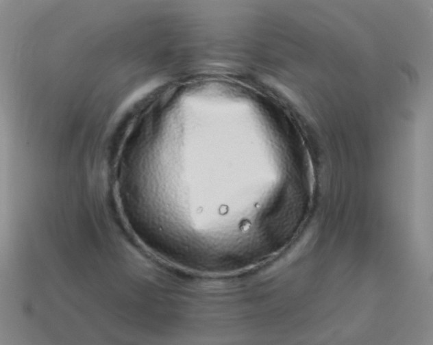 X0000114011402200910161722