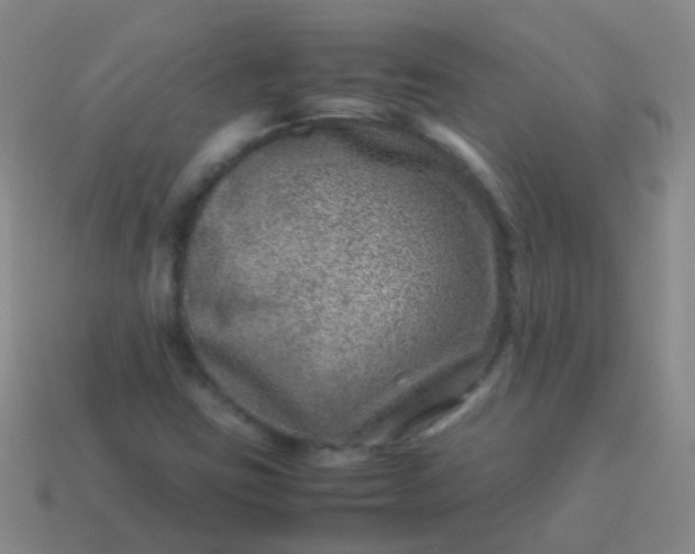 X0000114011403200910161722