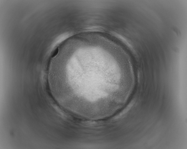 X0000114011405200910161722