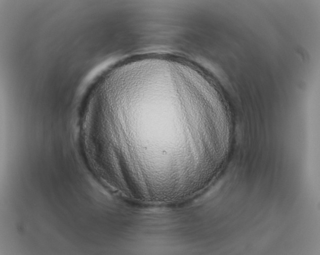 X0000114011406200910161722